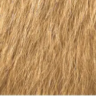 Blonde